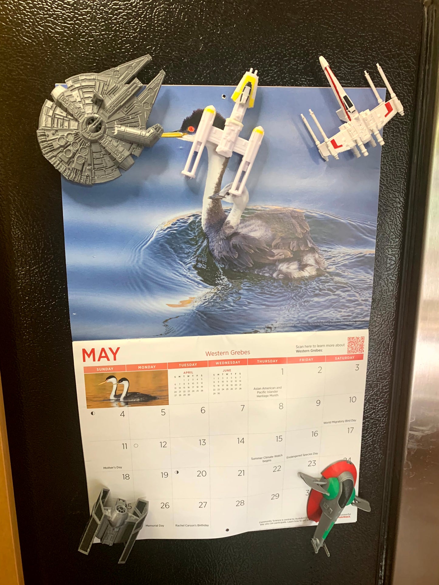 Starfighter Magnets for Fridge, Door, Locker - 24 Ships to Choose From